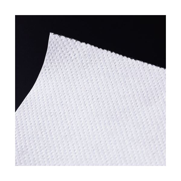 （まとめ） TANOSEEペーパータオル ハードタイプ（エコノミー） 200枚／パック 1セット（5パック） [x5セット]