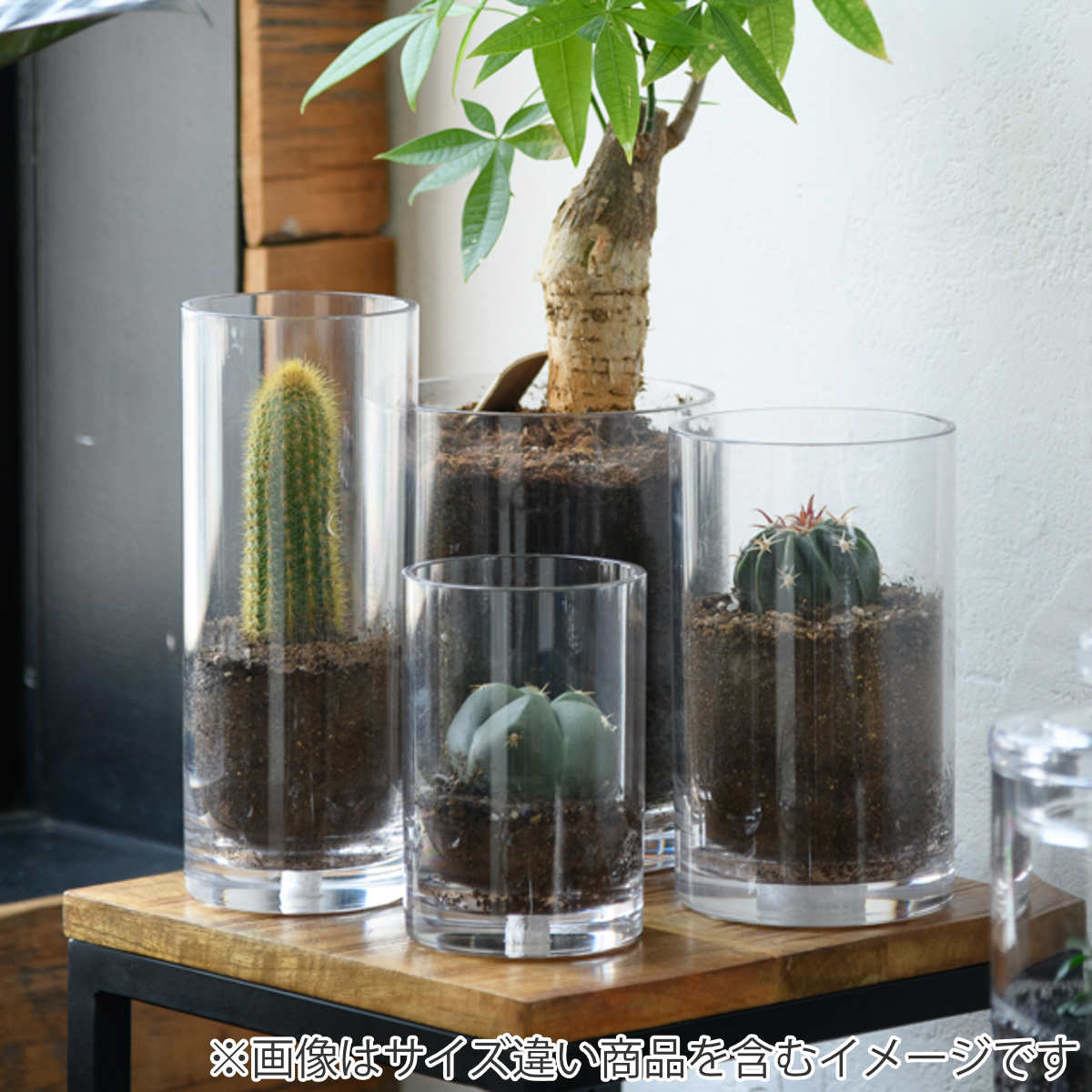 花瓶 割れないガラス PVシリンダー 直径15x高さ25cm 花びん 花器 シリンダー フラワーベース 透明 割れない ベース フラワー 花 飾る 円筒 円柱 ポリカーボネート プラ 花瓶 割れないガラス PVシリンダー 直径15x高さ25cm 花びん 花器 シリンダー フラワーベース 透明 割れない ベース フラワー 花 飾る 円筒 円柱 ポリカーボネート プラ