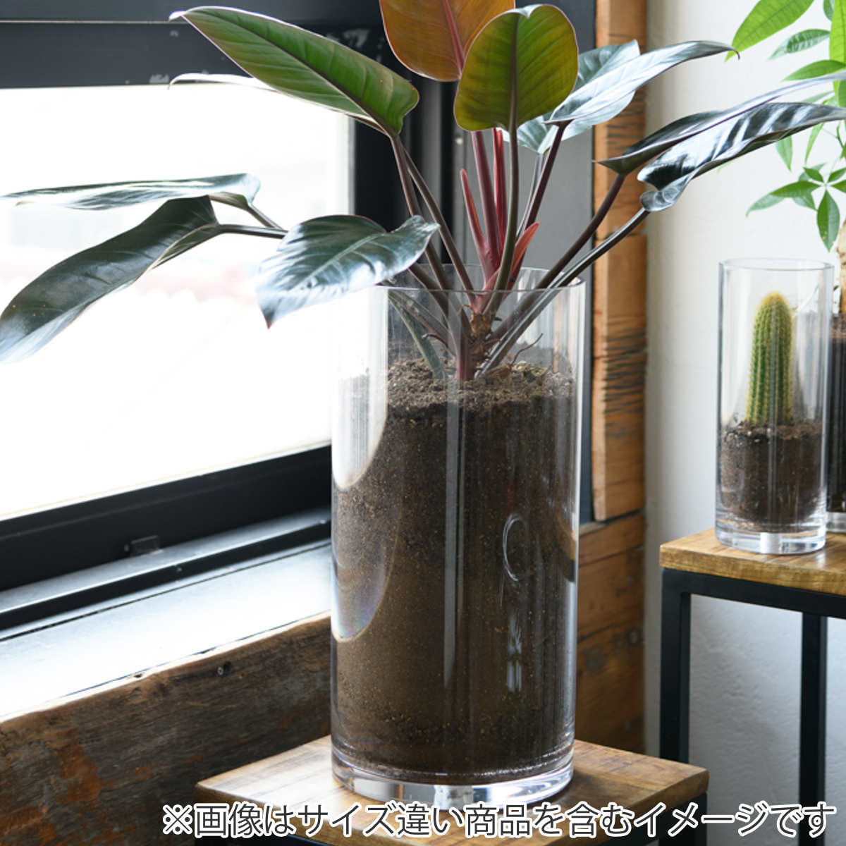 花瓶 割れないガラス PVシリンダー 直径15x高さ25cm 花びん 花器 シリンダー フラワーベース 透明 割れない ベース フラワー 花 飾る 円筒 円柱 ポリカーボネート プラ 花瓶 割れないガラス PVシリンダー 直径15x高さ25cm 花びん 花器 シリンダー フラワーベース 透明 割れない ベース フラワー 花 飾る 円筒 円柱 ポリカーボネート プラ