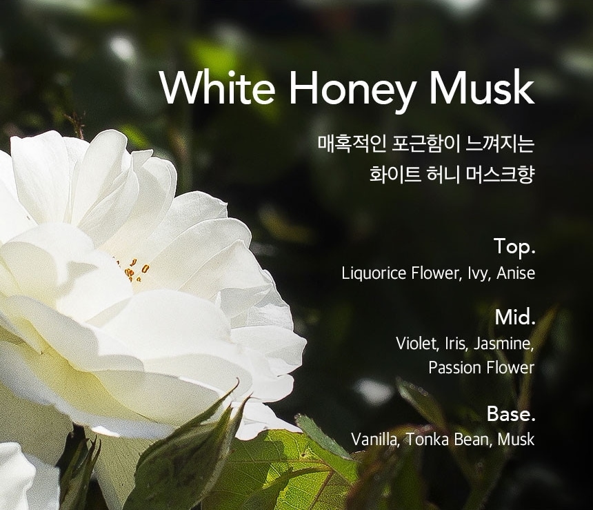 CURLYSHYLL Babassu Oil 100ml CURLYSHYLL Babassu Oil 100ml