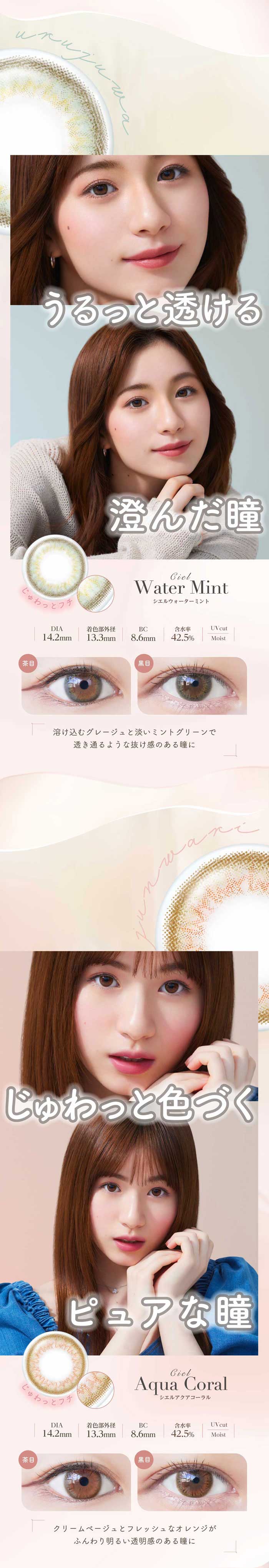 ネオサイトワンデーシエルUV(30枚入)2箱/ゆうパケット/1日使い捨て