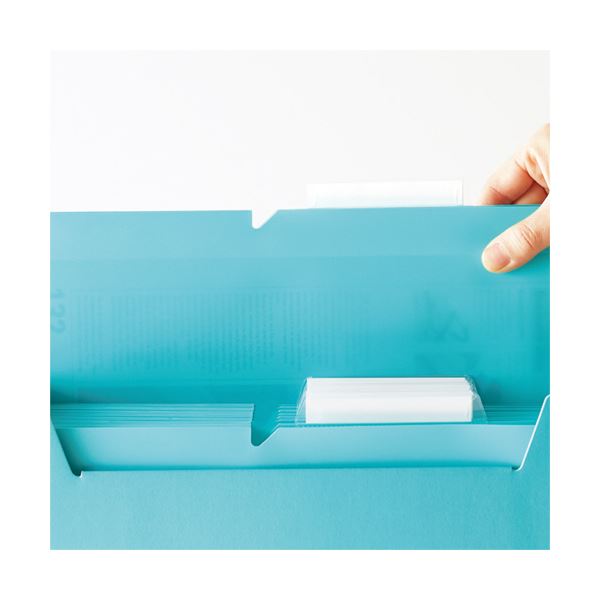 〔訳あり・在庫処分〕 （まとめ）コクヨ 個別フォルダー(NEOS)PP製 A4 マチ幅15mm ターコイズブルー A4P-NEF15BX10 1パック(10冊) 〔×5セット〕 訳あり・在庫処分 （まとめ）コクヨ 個別フォルダー(NEOS)PP製 A4