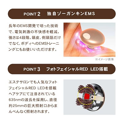 値下げ!ほぼ未使用♡【正規品】ZOGANKINゾーガンキン EMS機器 スカルプ BEAUTYPARK Yahoo!店 - ゾーガンキン｜Yahoo!ショッピング