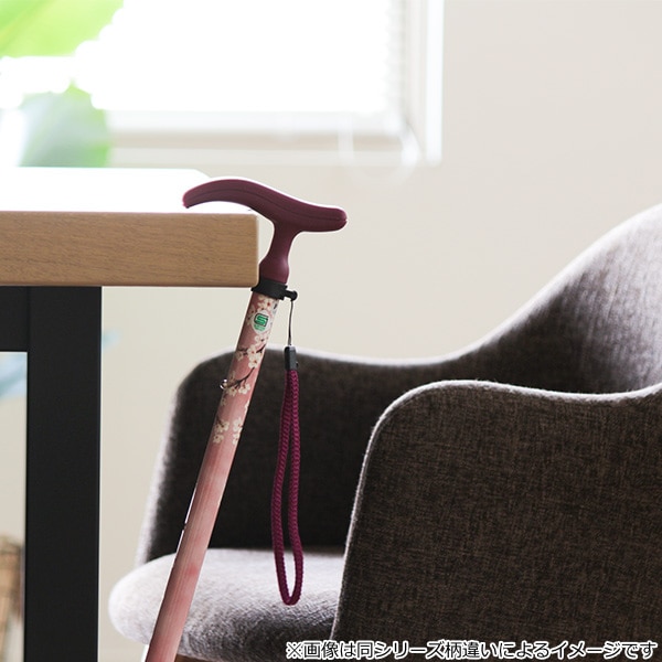 杖 伸縮 女性 軽量 おしゃれ プレゼント アクティブグレース伸縮 ブラック 送料無料