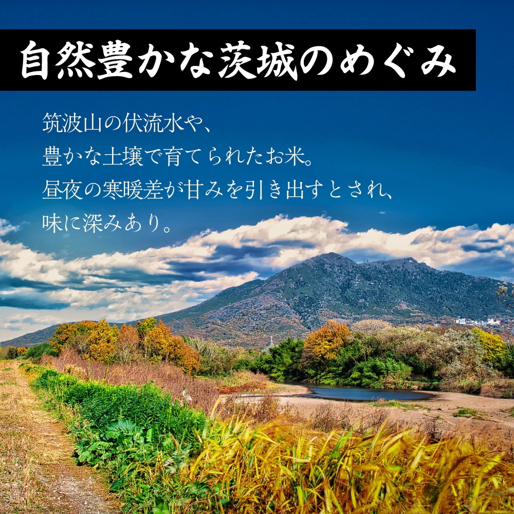 【白米】 茨城県産 コシヒカリ 20kg(5kg×4袋) 【白米】 茨城県産 コシヒカリ 20kg(5kg×4袋)