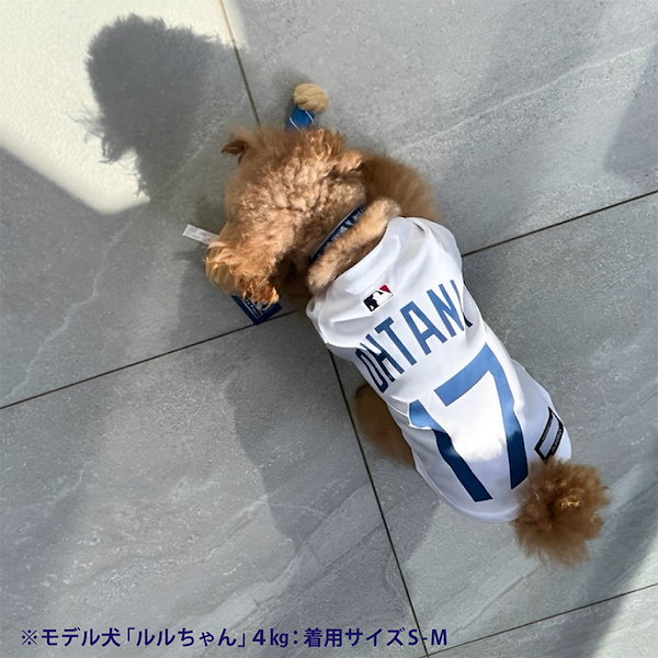 Qoo10] 大谷翔平 グッズ ドッグウェア 犬 服