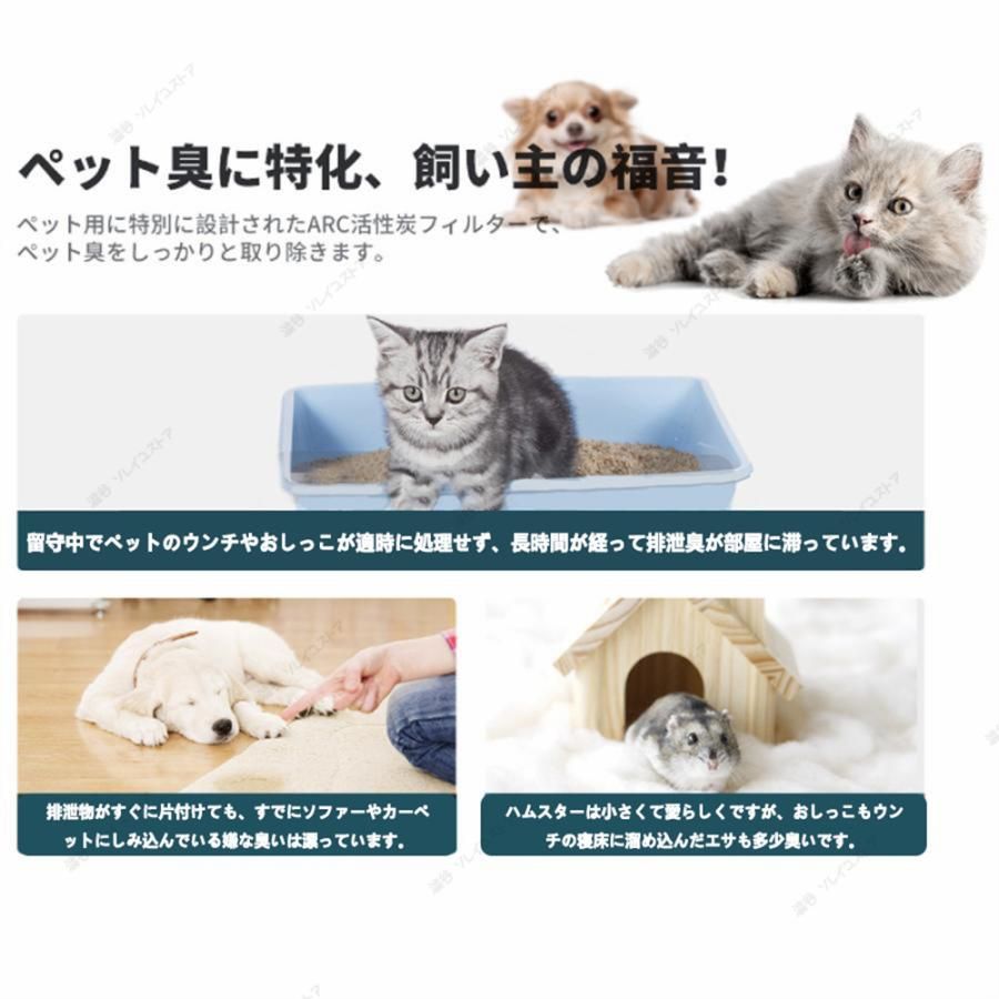 空気清浄機 小型 ウイルス対策 省エネ カビ取り消臭 ペット臭 におい PM2.5対策 タイマー カビ取り３段階切替 リモコン付 簡単操作 家庭用