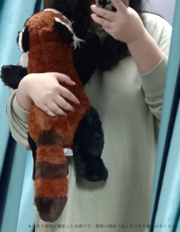 Qoo10] レッサーパンダ ぬいぐるみ 35*20*