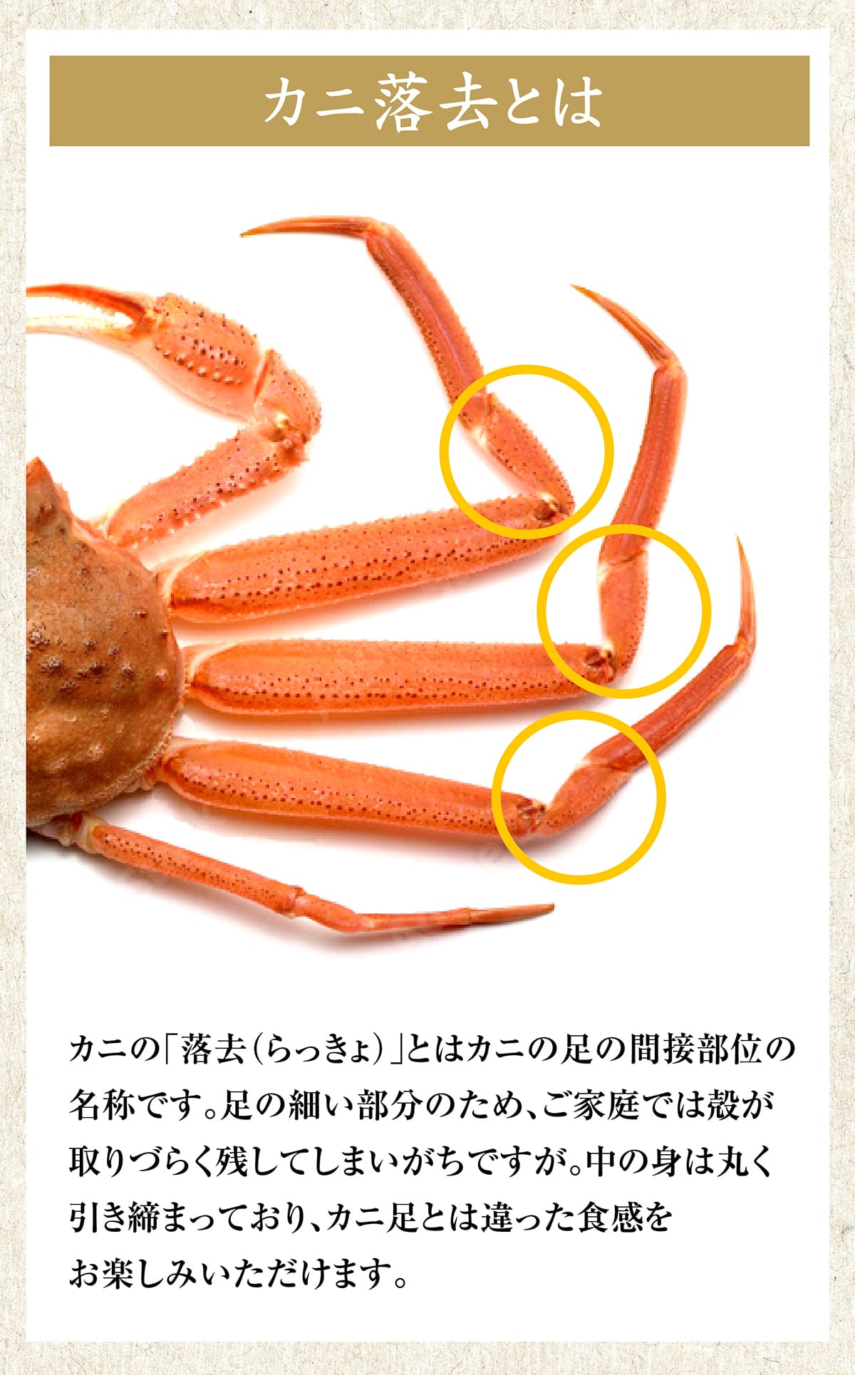 【8月20日以降の発送予定】 ズワイガニ ボイル ズワイ 落去 (らっきょ) 2kg (1kg(正味量約700g前後)2袋) ボイル済み (カナダ産原料インドネシア加工) かに カニ 蟹 ズワイガニ