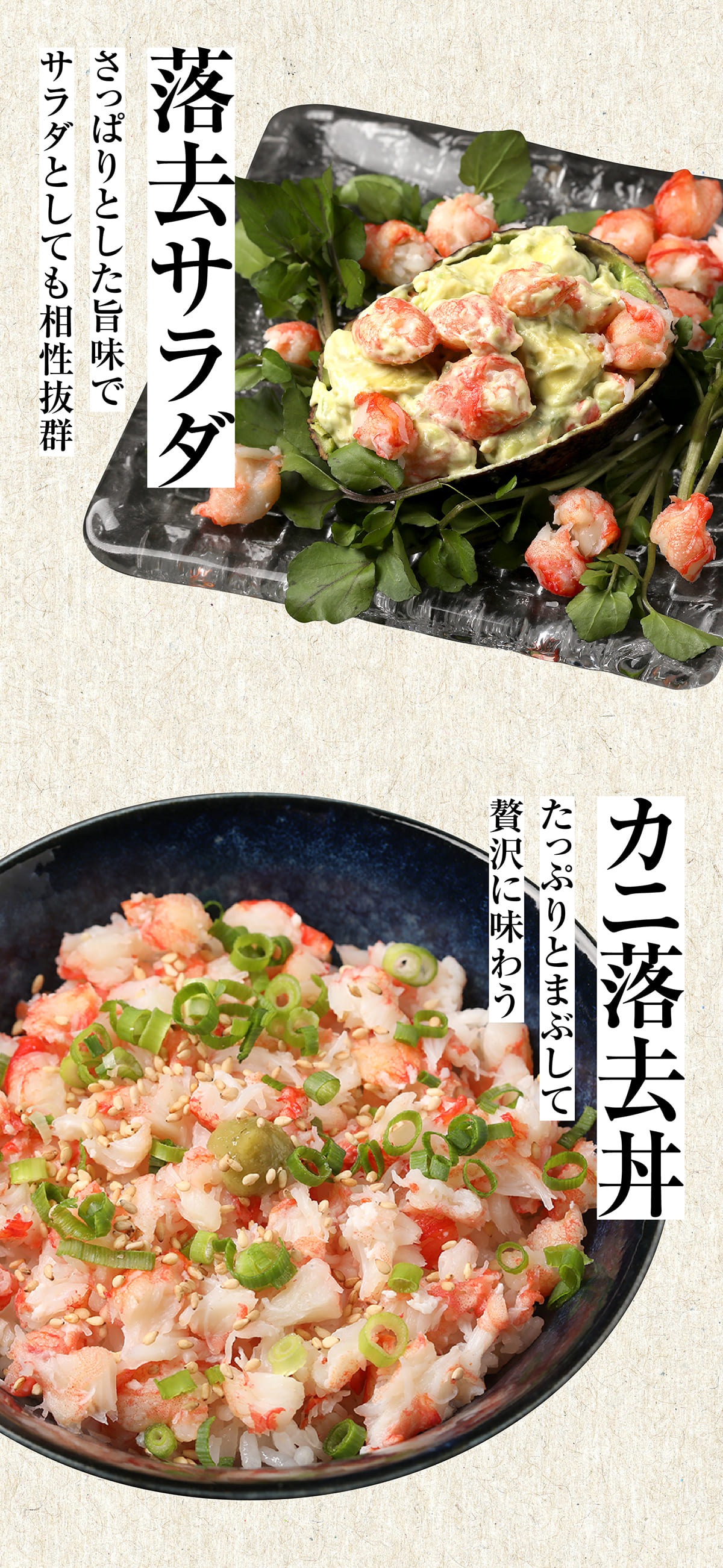 【8月20日以降の発送予定】 ズワイガニ ボイル ズワイ 落去 (らっきょ) 2kg (1kg(正味量約700g前後)2袋) ボイル済み (カナダ産原料インドネシア加工) かに カニ 蟹 ズワイガニ