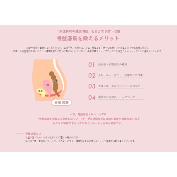 ピエラス BODY DOCTOR femfit フェムケア 骨盤底筋 トレーニング EMS ダイエット ヒップアップ ボディメイク 筋トレ 筋肉 送料無料