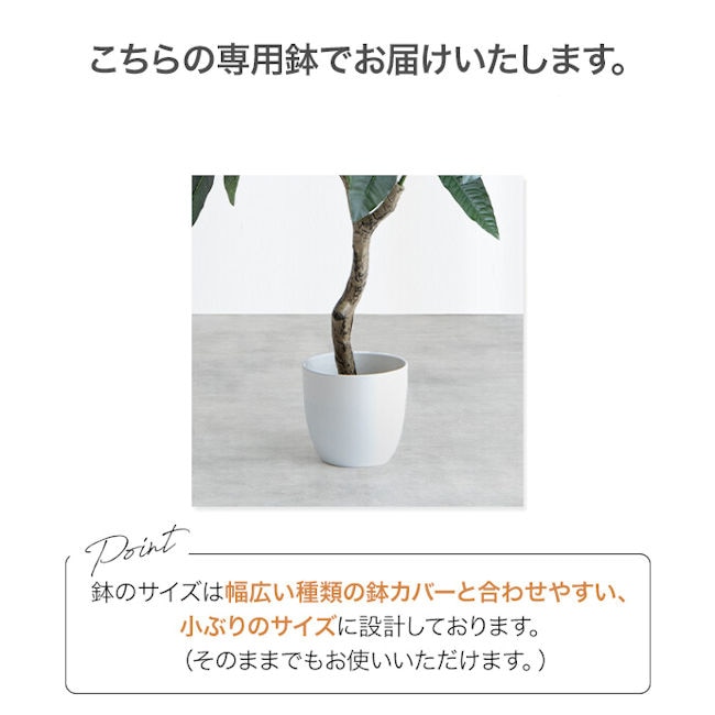 光触媒人工観葉植物カポック高さ90cm インテリアグリーン フェイクグリーン(1284) 光触媒人工観葉植物カポック高さ90cm インテリアグリーン フェイクグリーン(1284)