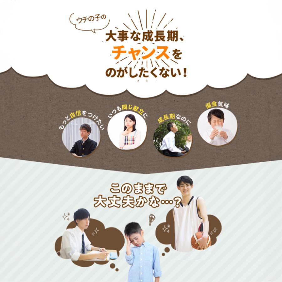 [公式] レベルアップ ココア風味 1袋 約30杯分 子供成長期サポート飲料 ココア プロフェッショナル 健康 飲み物 健康飲料 おいしい フレーバー カルシウム 鉄分 ビタミン