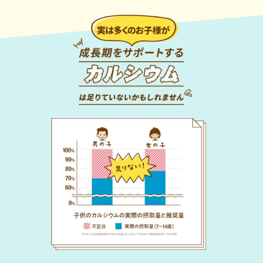 [公式] レベルアップ ココア風味 1袋 約30杯分 子供成長期サポート飲料 ココア プロフェッショナル 健康 飲み物 健康飲料 おいしい フレーバー カルシウム 鉄分 ビタミン