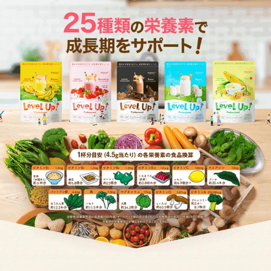 [公式] レベルアップ ココア風味 1袋 約30杯分 子供成長期サポート飲料 ココア プロフェッショナル 健康 飲み物 健康飲料 おいしい フレーバー カルシウム 鉄分 ビタミン