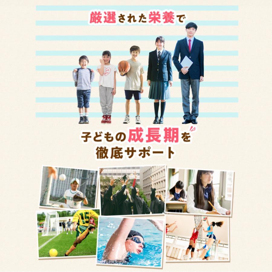 [公式] レベルアップ ココア風味 1袋 約30杯分 子供成長期サポート飲料 ココア プロフェッショナル 健康 飲み物 健康飲料 おいしい フレーバー カルシウム 鉄分 ビタミン