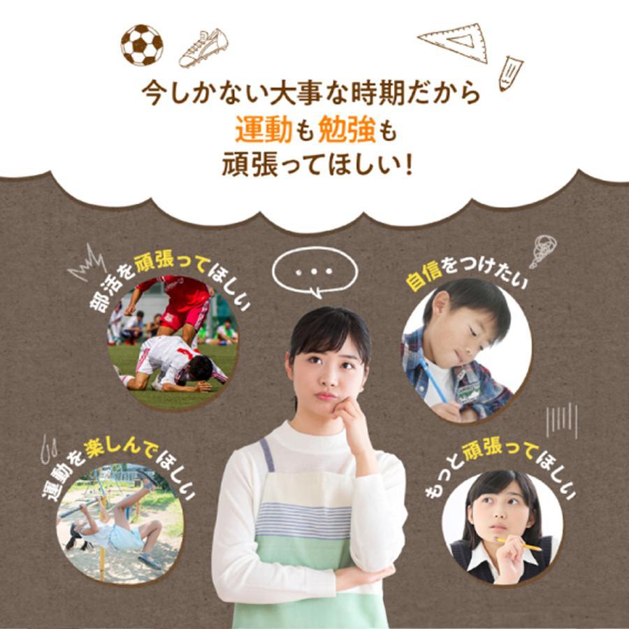 [公式] レベルアップ ココア風味 1袋 約30杯分 子供成長期サポート飲料 ココア プロフェッショナル 健康 飲み物 健康飲料 おいしい フレーバー カルシウム 鉄分 ビタミン