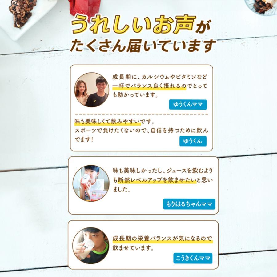 [公式] レベルアップ ココア風味 1袋 約30杯分 子供成長期サポート飲料 ココア プロフェッショナル 健康 飲み物 健康飲料 おいしい フレーバー カルシウム 鉄分 ビタミン
