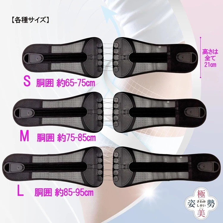 「向日葵」　極美姿勢（男女兼用）　Mサイズ　介護　腰痛　背骨　コルセット　サポーター　骨盤ベルト　姿勢