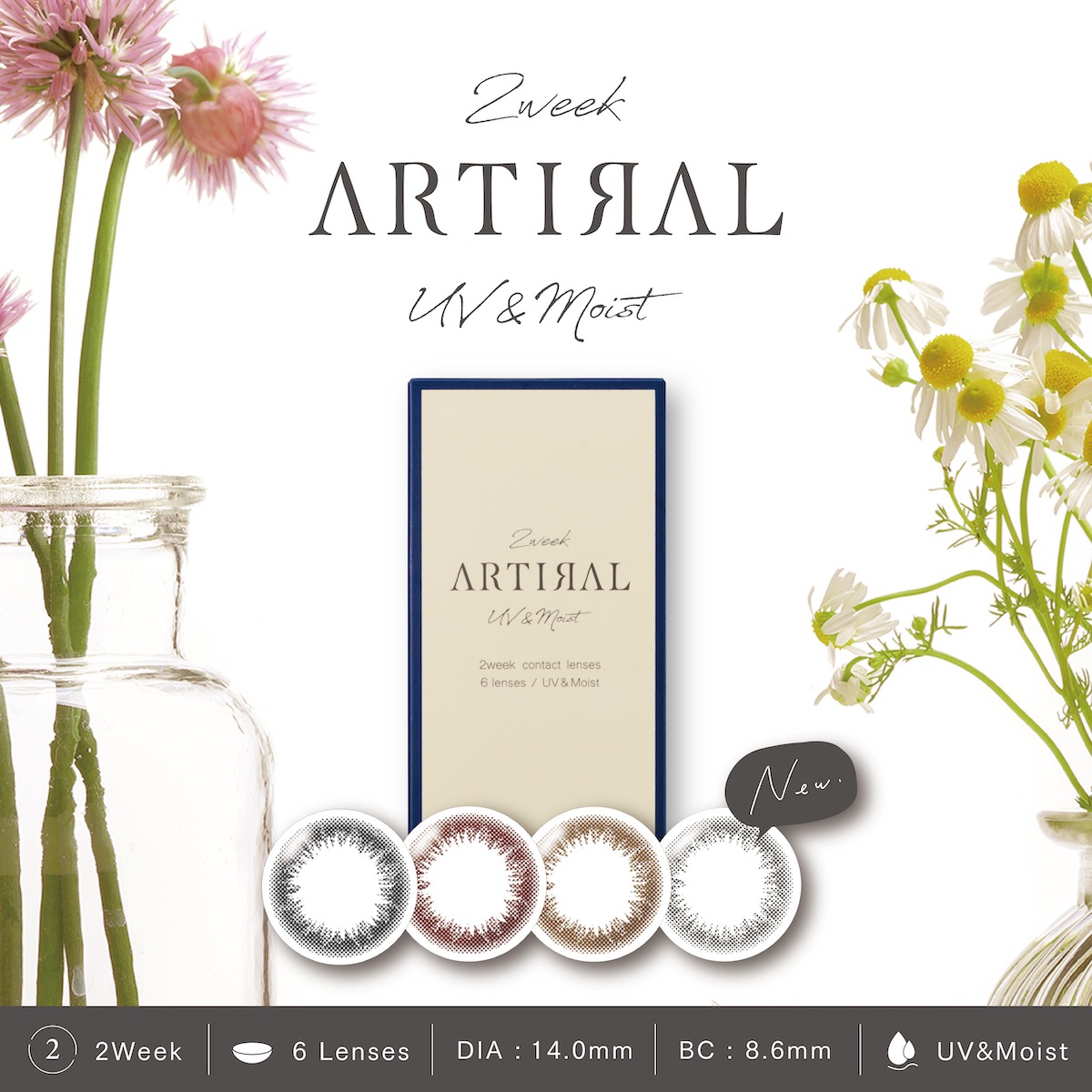 【4箱セット】カラコン アーティラル 2week uv&moist 2週間 【1箱6枚入】計24枚 度あり 度なし DIA 14.0mm ブラック オークル ブラウン ダークブラウン 【4箱セット】カラコン アーティラル 2week uv&moist 2週間 【1箱6枚入】計24枚 度あり 度なし DIA 14.0mm ブラック オークル ブラウン ダークブラウン