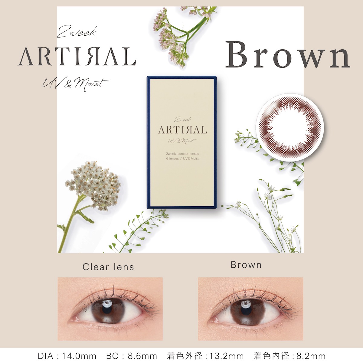 【4箱セット】カラコン アーティラル 2week uv&moist 2週間 【1箱6枚入】計24枚 度あり 度なし DIA 14.0mm ブラック オークル ブラウン ダークブラウン 【4箱セット】カラコン アーティラル 2week uv&moist 2週間 【1箱6枚入】計24枚 度あり 度なし DIA 14.0mm ブラック オークル ブラウン ダークブラウン