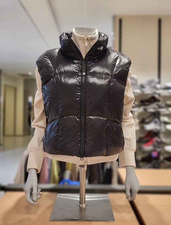 Qoo10] ザノースフェイス オーラン·ダウン·ダック·ダウン·ベスト