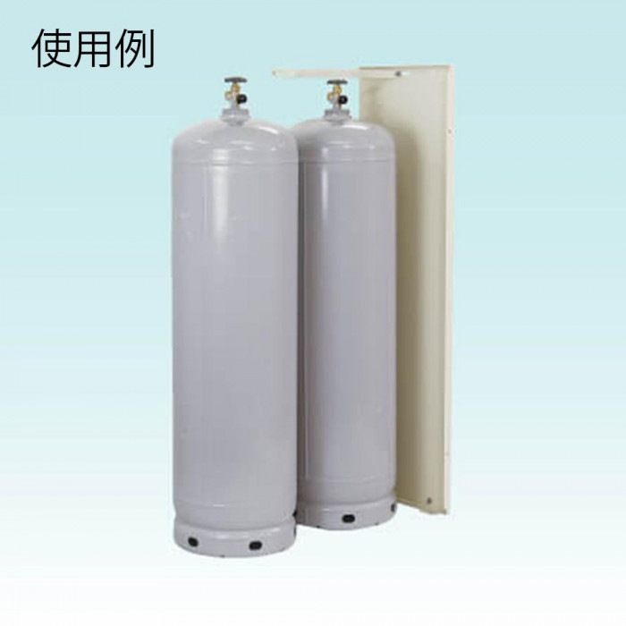 日晴金属 LP GUARD (LPガスボンベガード)隔壁パネル(I型・50kg容器1~2本用) LP-KI50×2台 日晴金属 LP GUARD (LPガスボンベガード)隔壁パネル(I型・50kg容器1~2本用) LP-KI50×2台
