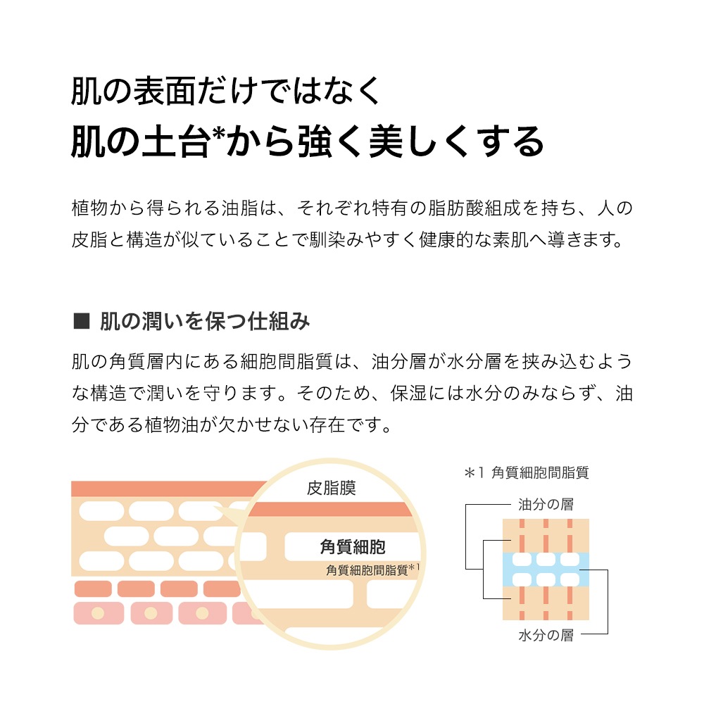 【 1000ml ( 1L / 詰替用 ) 】 MNO マカダミアナッツオイル/ マカデミアナッツオイル / スキンケア / ヘアケア