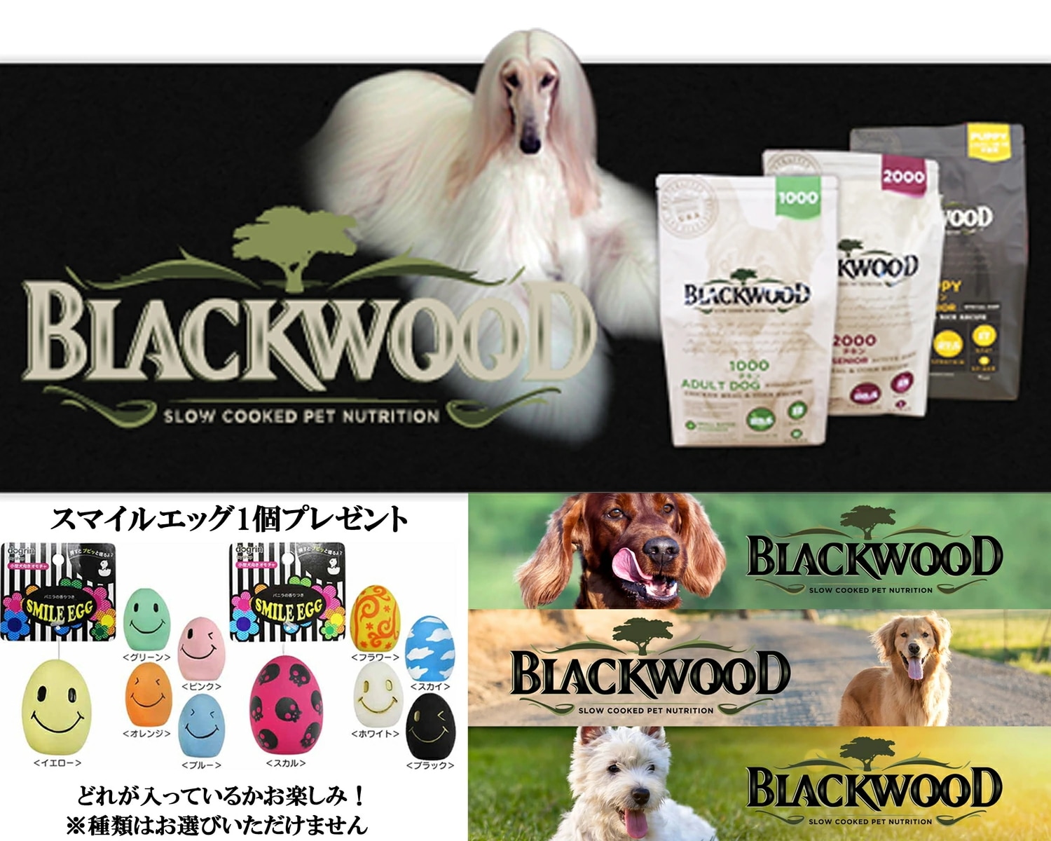 【プレゼント付】【スマイルエッグ付】ブラックウッド LOW FAT 20kg 【プレゼント付】【スマイルエッグ付】ブラックウッド LOW FAT 20kg