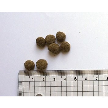 【プレゼント付】【スマイルエッグ付】ブラックウッド LOW FAT 20kg 【プレゼント付】【スマイルエッグ付】ブラックウッド LOW FAT 20kg