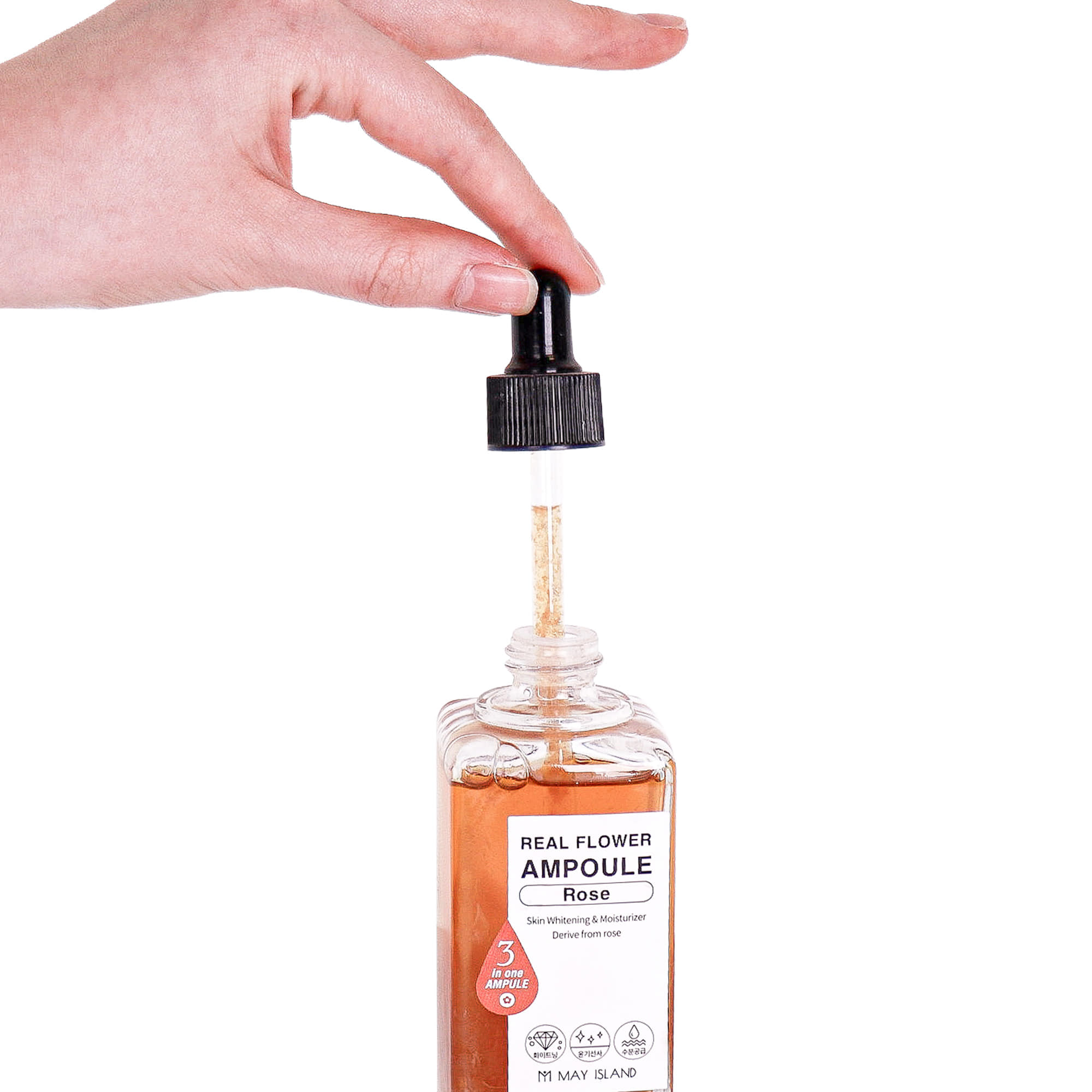 メイアイランドリアルフラワーアンプローズ メイアイランドリアルフラワーアンプローズ