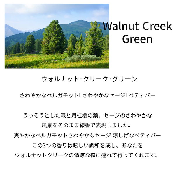 香水(ユニセックス) BiBiANG Walnut Creek Green EDP 50ml BIBIANG Walnut Creek Green Eau de Parfum EDP 50ml / Express