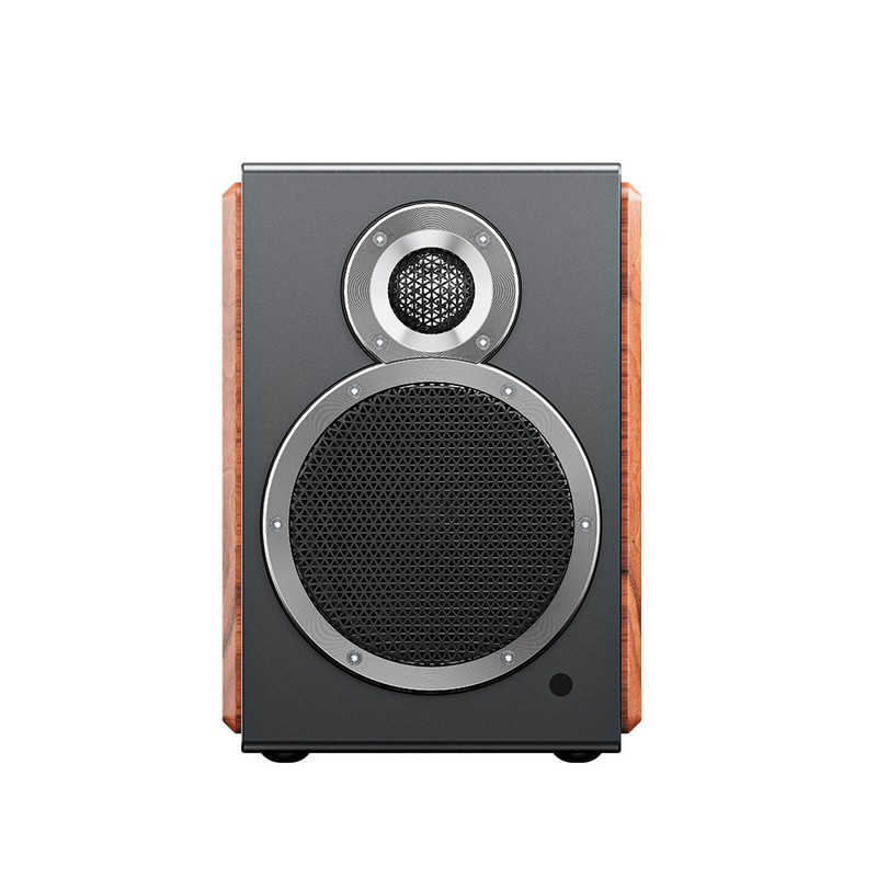 FIIO　SA1 ［ハイレゾ対応 / 2本］ Black　FIO-SA1-B