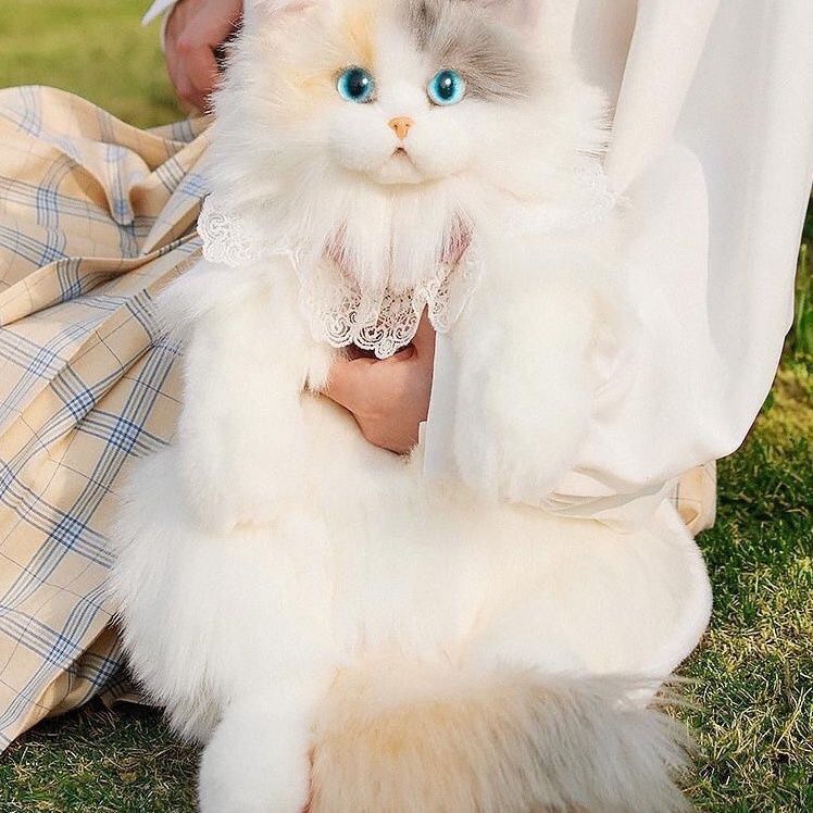 淡い三花猫のリュックサックのぬいぐるみのぬいぐるみが彼女の誕生日サプライズをプレゼントします 淡い三花猫のリュックサックのぬいぐるみのぬいぐるみが彼女の誕生日サプライズをプレゼントします