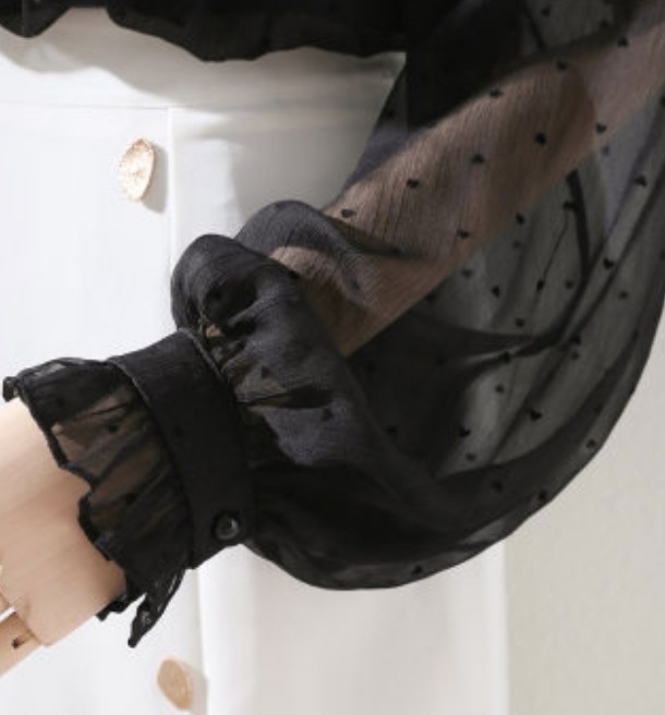 トップス デート シャツ ブラウス カットソー 袖あり 長袖 透け感 シースルー かわいい 大人可愛い きれいめ シンプル カジュアル 大人 上品 おしゃれ お洒落 主役級 存在感 春 秋 10代 トップス デート シャツ ブラウス カットソー 袖あり 長袖 透け感 シースルー かわいい 大人可愛い きれいめ シンプル カジュアル 大人 上品 おしゃれ お洒落 主役級 存在感 春 秋 10代