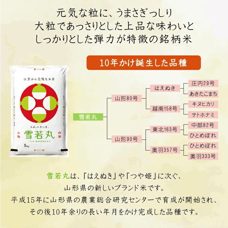 令和6年産 無洗米 山形県産雪若丸 5kg