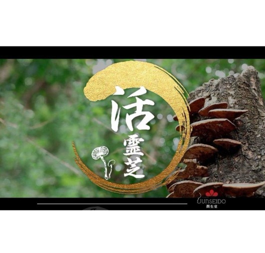 潤生堂健康研究館　活霊芝かつれいし　 30本　霊芝加工食品　日本産限定霊芝使用　日本製　栄養補助食品