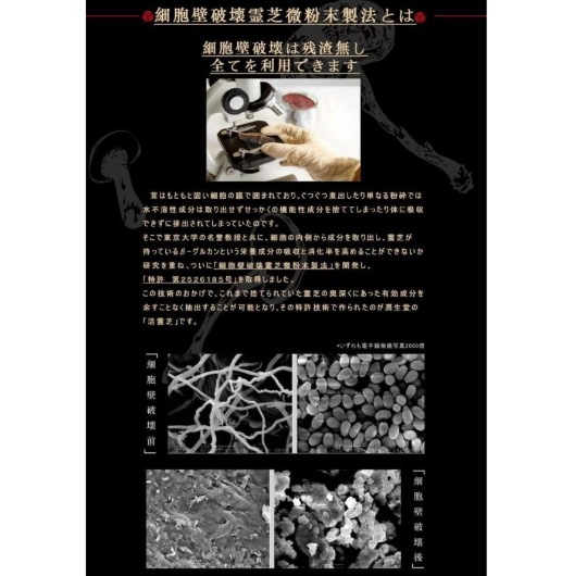 潤生堂健康研究館　活霊芝かつれいし　 30本　霊芝加工食品　日本産限定霊芝使用　日本製　栄養補助食品