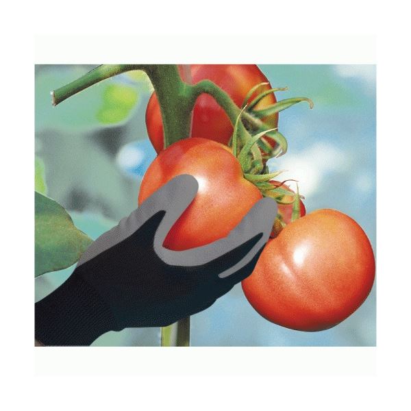 （まとめ）川西工業 ピッタリ倶楽部 15G S ブラック #2991-S 1パック（3双）[x10]