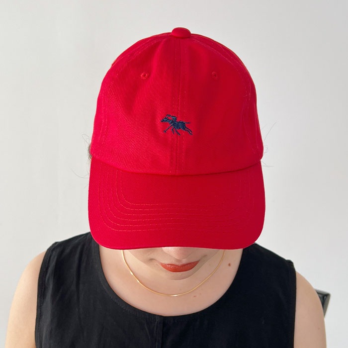 【国内発送】POLO CHAMPS　LOW CAP【送料無料】