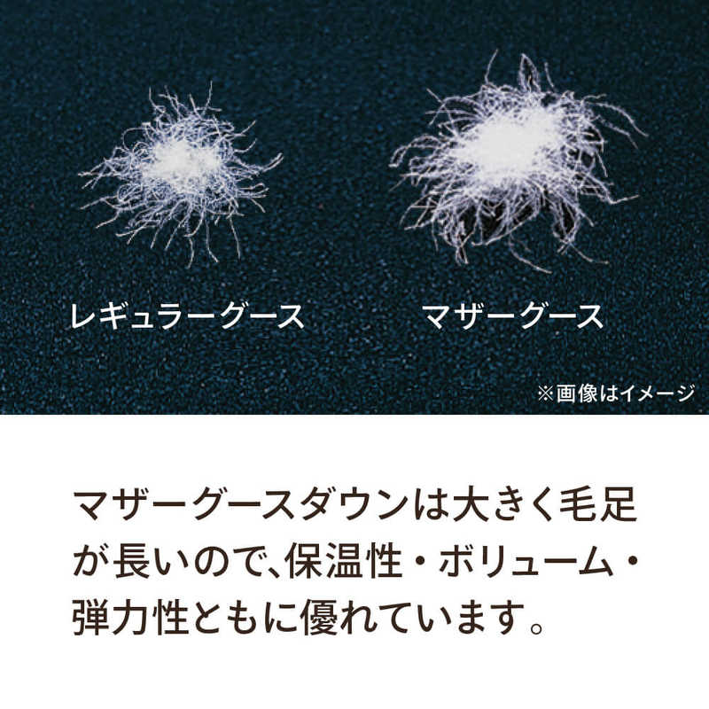 生毛工房　本掛け羽毛布団「生毛ふとん」 PM480 ［クイーン(210×210cm) /冬用 /ポーランド産ホワイトマザーグースダウン95％ /日本製］