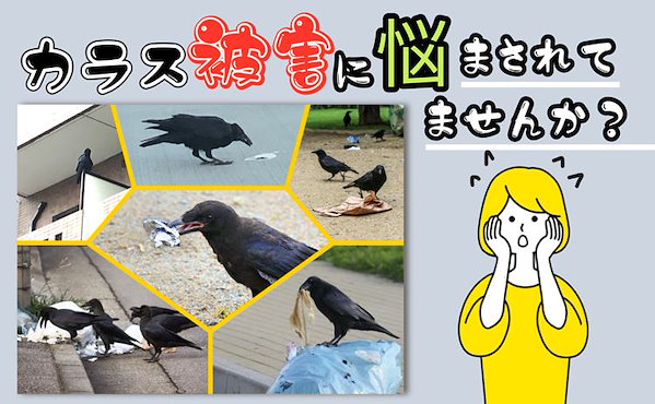 やまタ　　カラスが嫌がる光で撃退　200型10枚　今だけ旗2枚付き ヤマダモール | ONESORA カラスよけ 鳩よけ 本物そっくり リアル