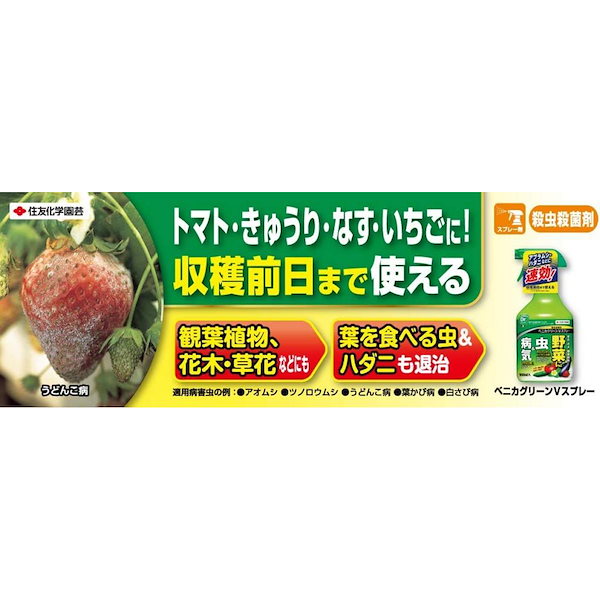 Qoo10] 住友化学園芸 【送料無料】住友化学園芸 ベニカグリーン