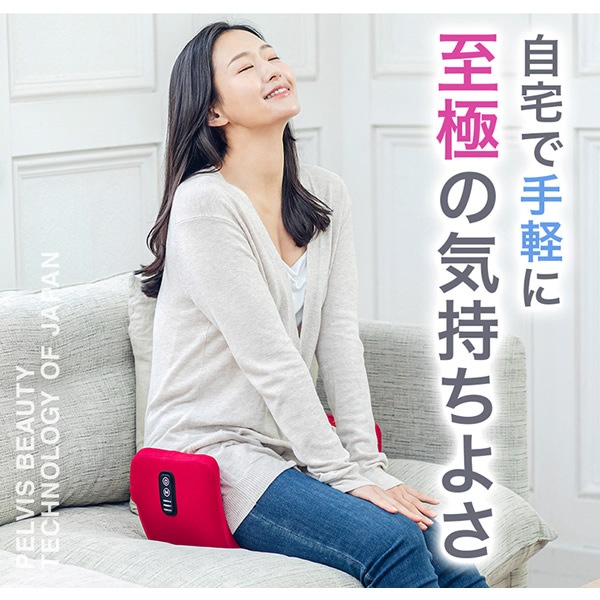 芦屋美整体 骨盤スリムロールエアー (送料無料) 骨盤ケア エアーバッグ 引き締め エクササイズ 骨盤 美脚 ウエストケア 骨盤底筋 サロン ながら運動 スタイルアップ ボディメイク