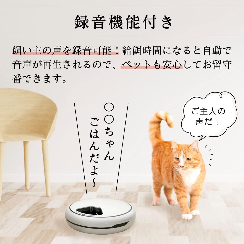 ベストアンサー ペット 自動給餌器 4食分 自動餌やり機 オートペットフィーダー エサやり ペット用品 犬用 猫用 自動餌やり 留守番 ピンク