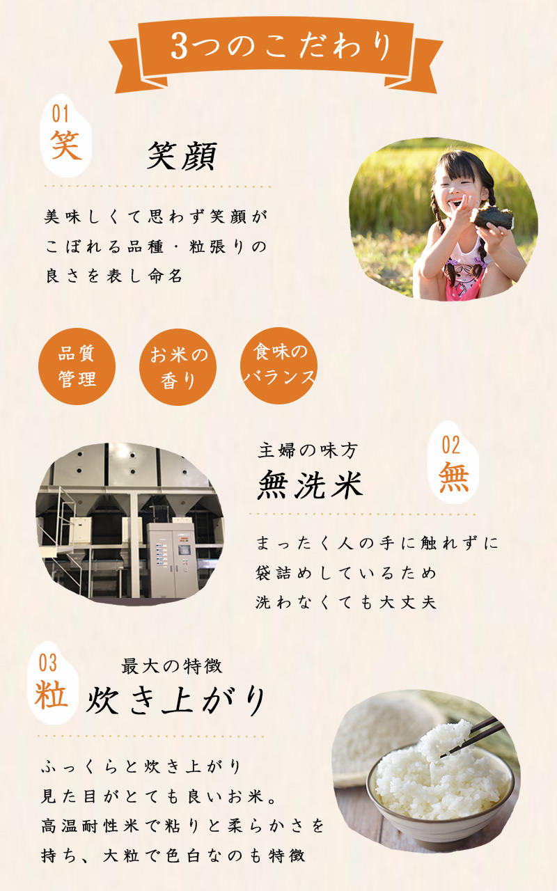 令和6年 岡山県産 にこまる 無洗米 10kg (5kg2個) お米 白米 こめた監修 お一人様1点限り