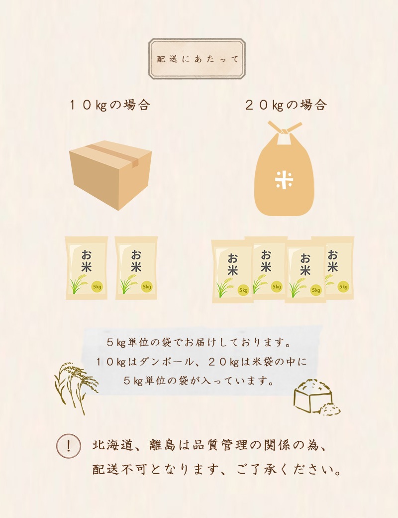 令和6年 岡山県産 にこまる 無洗米 10kg (5kg2個) お米 白米 こめた監修 お一人様1点限り