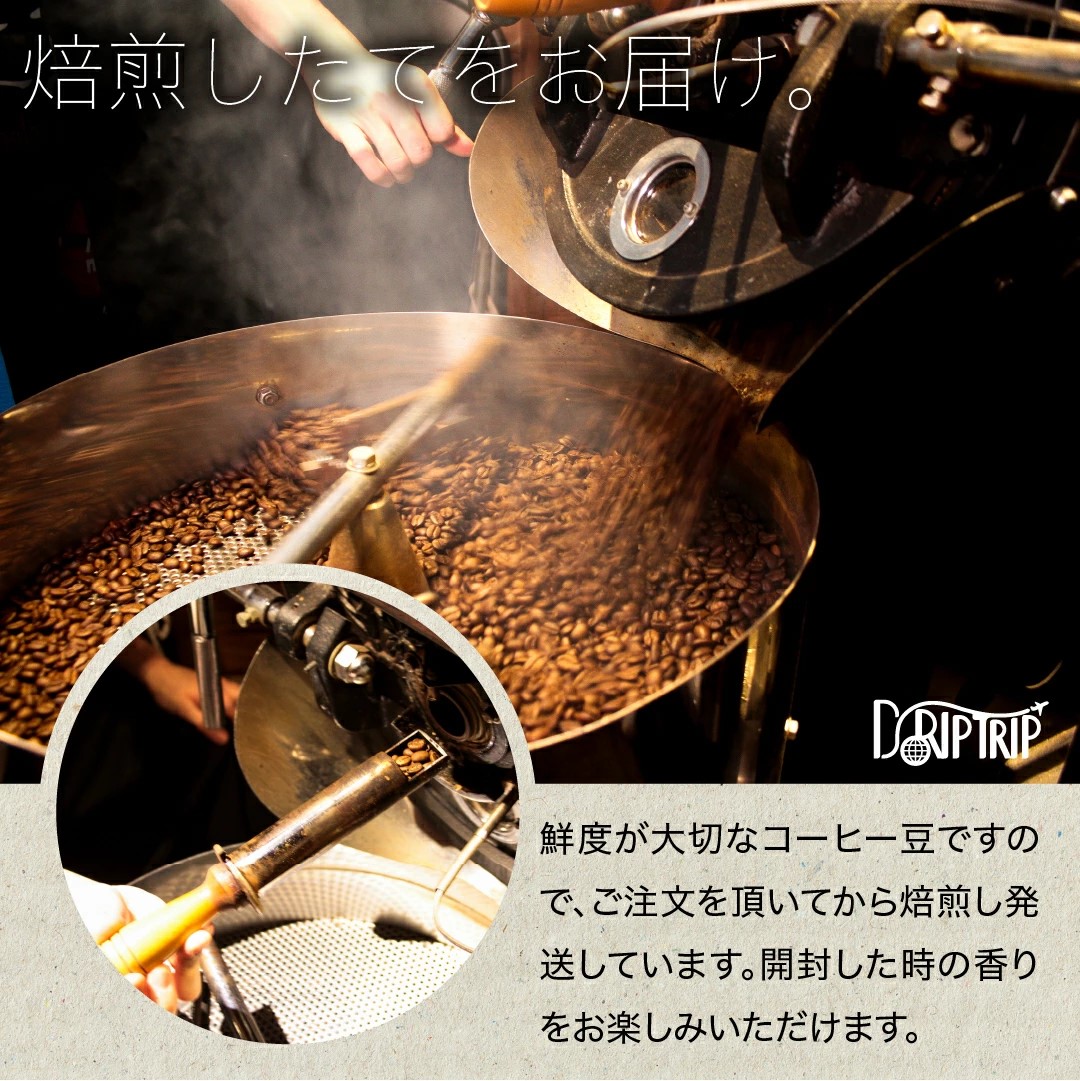受注焙煎！2kg ブラジル サントス No2 17/18 [選べる焙煎度合い] コーヒー豆 大山珈琲