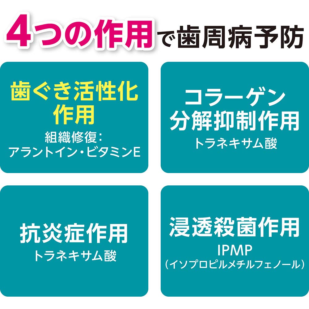 【まとめ買い】システマ　ハグキプラスデンタルリンス 容量450ML×12点セット ライオン マウスウォッシュ