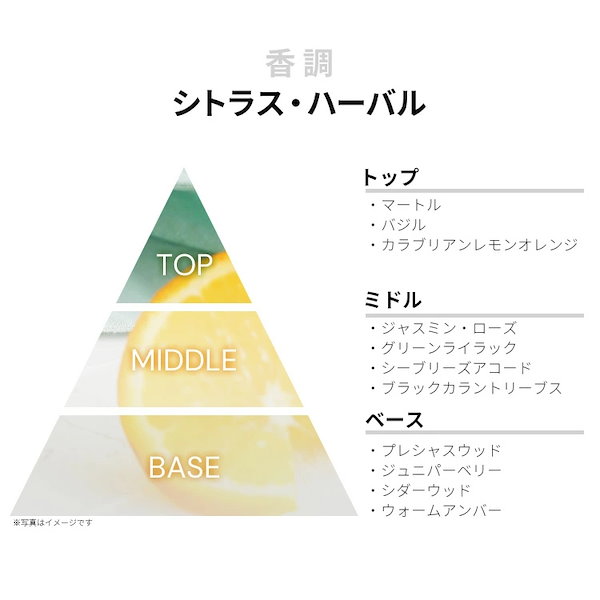 Qoo10] アクア デ パルマ ブルーメディテラネオ